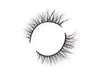 The Modest Beauty Collection - DUFFLashes