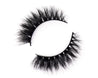 The Glam Maven Collection - DUFFLashes